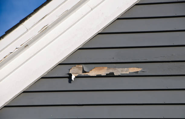 Best Same-Day Junk Removal Services  in Fern Acres, HI
